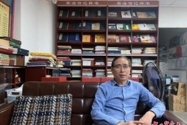 帝国时代4农田产黄金_中世纪王朝农田
