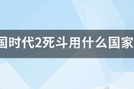 帝国时代2单挑_帝国时代2单挑强国