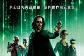 帝国时代4绿色版_帝国时代4单机手机版下载中文版
